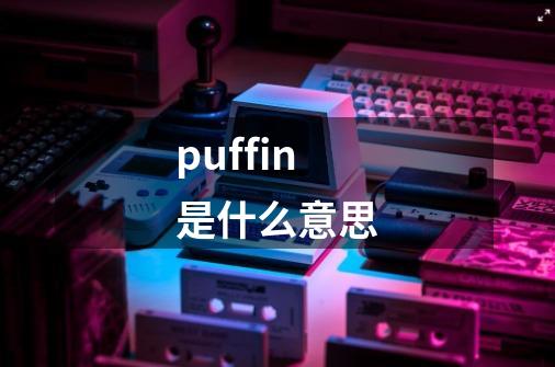 puffin是什么意思-第1张-游戏相关-八六二网