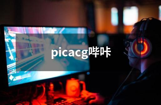 picacg哔咔-第1张-游戏相关-八六二网