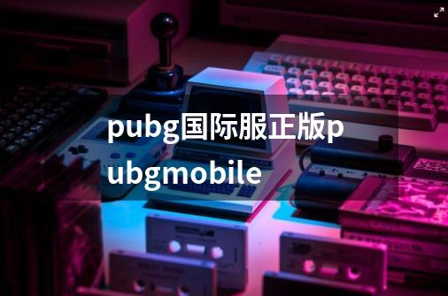 pubg国际服正版pubgmobile-第1张-游戏相关-八六二网
