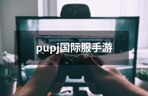 pupj国际服手游-第1张-游戏相关-八六二网