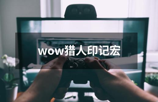 wow猎人印记宏-第1张-游戏相关-八六二网