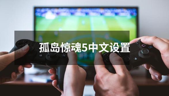 孤岛惊魂5中文设置-第1张-游戏相关-八六二网