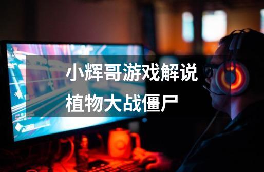 小辉哥游戏解说植物大战僵尸-第1张-游戏相关-八六二网