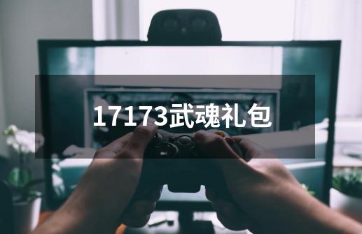 17173武魂礼包-第1张-游戏相关-八六二网