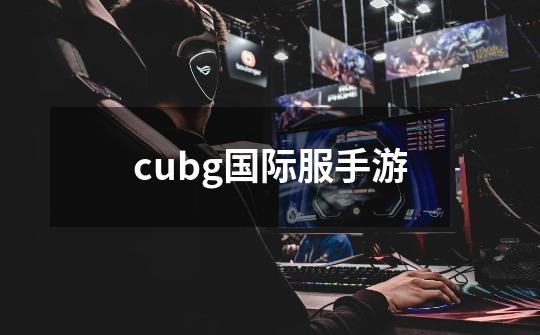 cubg国际服手游-第1张-游戏相关-八六二网