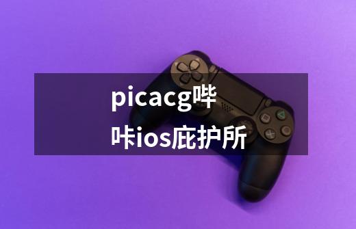 picacg哔咔ios庇护所-第1张-游戏相关-八六二网