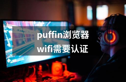 puffin浏览器wifi需要认证-第1张-游戏相关-八六二网