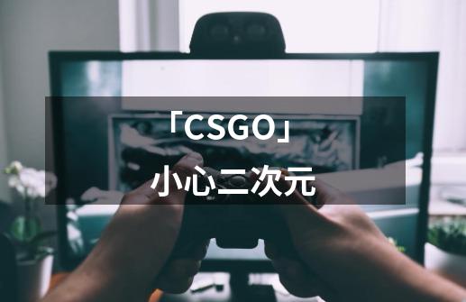 「CSGO」小心二次元-第1张-游戏相关-八六二网